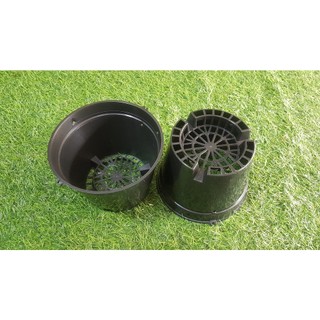 Combo 5 chậu đen trồng lan phi 16cm bít lỗ.