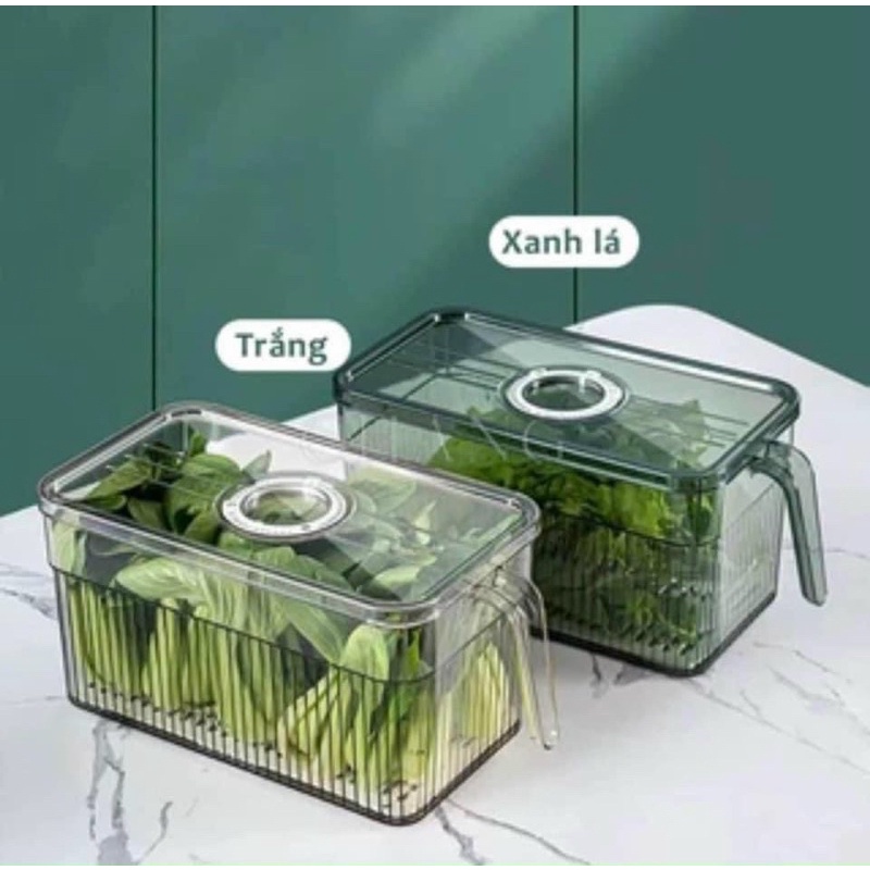 HỘP ĐỰNG THỰC PHẨM TỦ LẠNH KÈM RỔ TÁCH NƯỚC 2 NGĂN TIỆN LỢI CÓ TAY CẦM TRONG SUỐT CAO CẤP