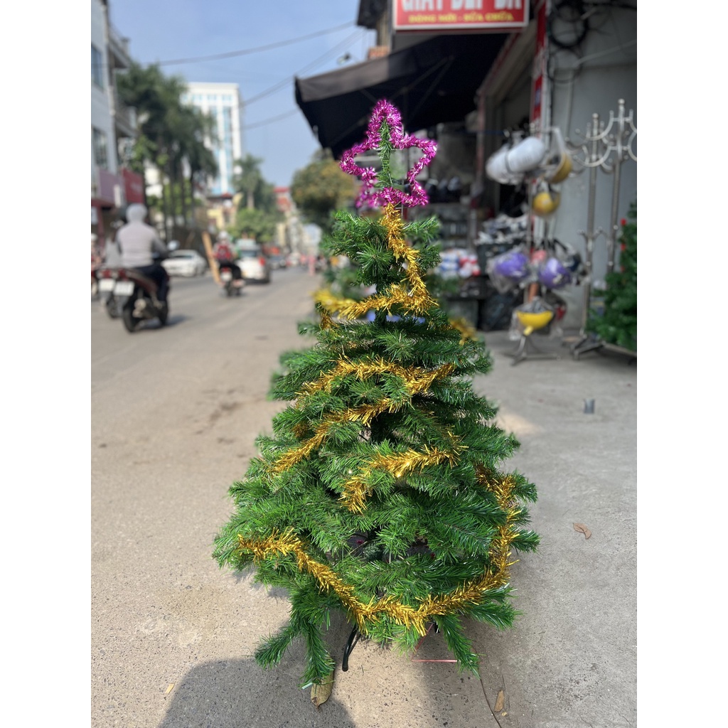 CÂY THÔNG PHỦ TUYẾT,CÂY THÔNG XANH HÀNG VIỆT NAM LOẠI 1