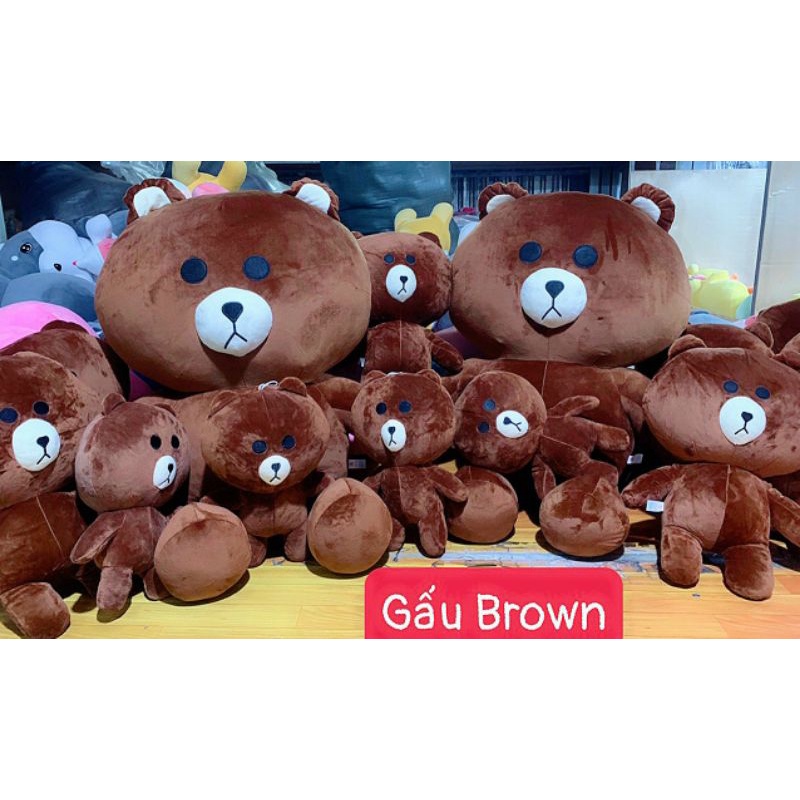 Gấu Brown size 35cm