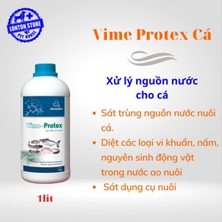 VEMEDIM Vime-Protex cá, xử lý nước, diệt khuẩn ao nuôi cá, chai 1lit  Vime Protex - Lonton store