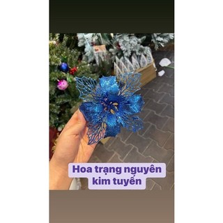 Bông trạng nguyên trang trí