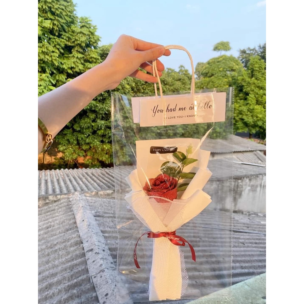 HOA SÁP KÈM TÚI ĐỰNG