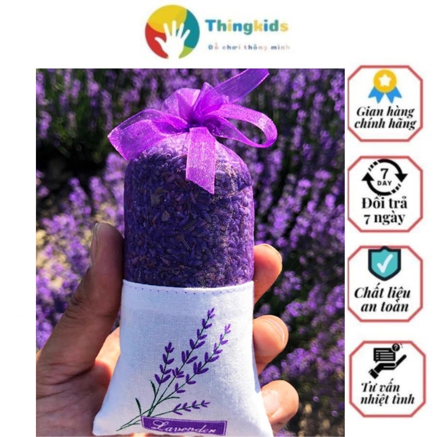 Túi thơm nụ hoa oải hương Lavender khô  - Thingkids