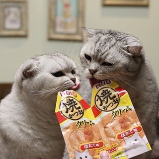 Súp thưởng Ciao Inaba đôi cho mèo 🐈