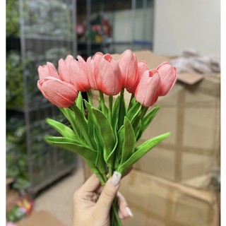 Hoa tuylip , hoa lụa decor