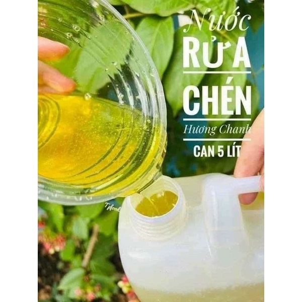 (HCM - CHỈ GIAO HỎA TỐC) Nước rửa chén