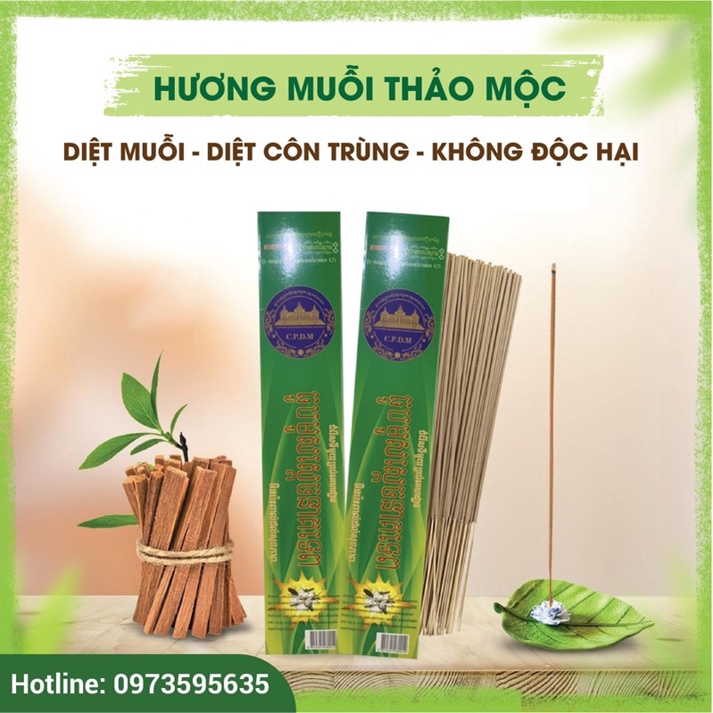 Hương muỗi thảo mộc Thái Lan an toàn Diệt muỗi-diệt côn trùng, an toàn