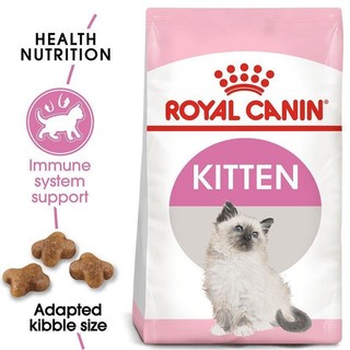 [Có sẵn] Hạt Royal Canin Kitten Cho Mèo Con