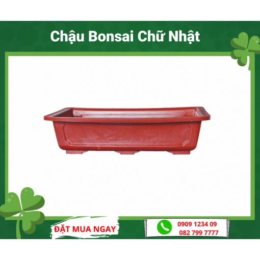(Combo 2 chậu) Chậu Bonsai chữ nhật 30 - Green City