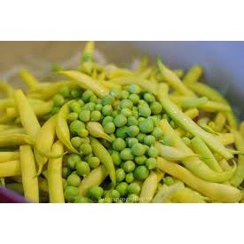 (Mã NSF02P125 giảm 25K) Hạt giống Đậu Cove Vàng (bụi)