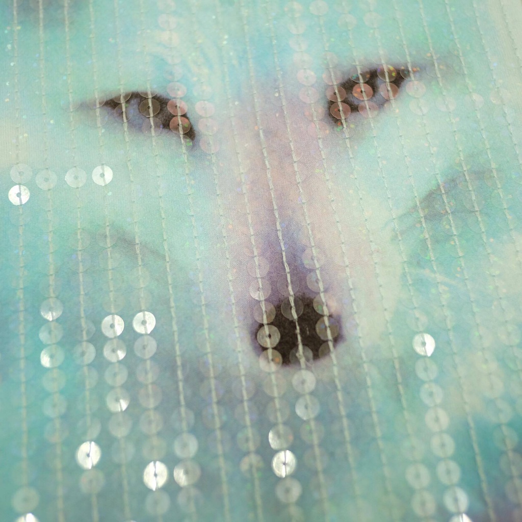 Áo place thun dài tay cho bé gái đủ size 27699