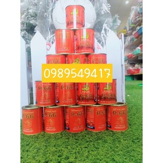 Keo dán đa năng  Rồng vàng P66  110ml dùng dán dừa,dưa,gỗ,nhựa,giày dép