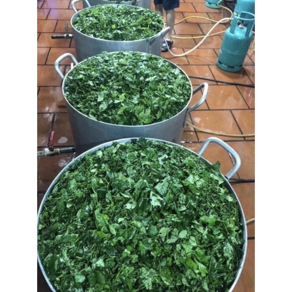 Cao dây thìa canh gói 100gr nguyên chất xịn nhất
