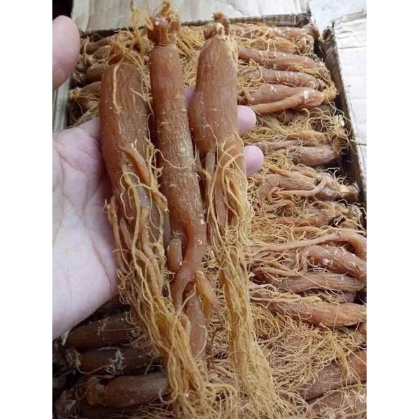 100gr Nhân sâm khô nguyên chất 100% hàng sấy dẻo