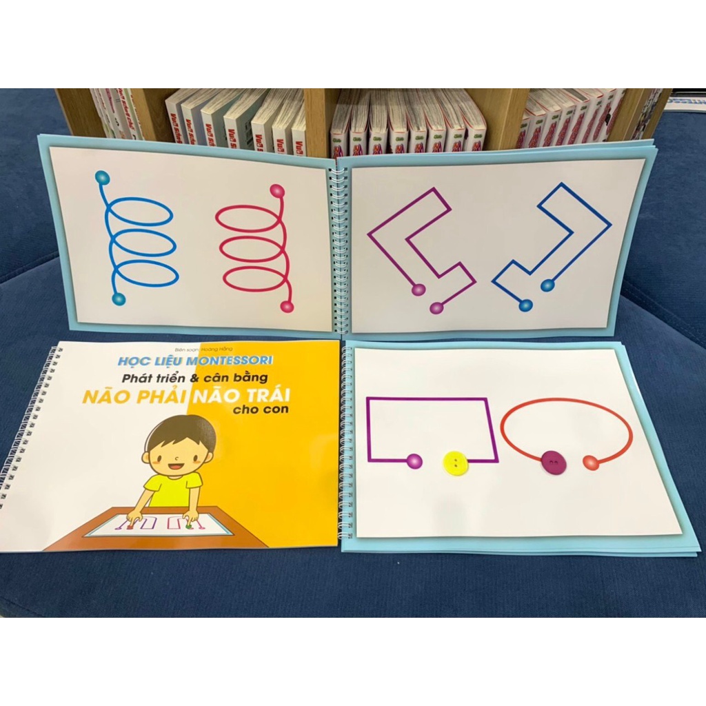 Bộ đồ chơi phát triển và cân bằng não phải, não trái cho bé Sunny toys