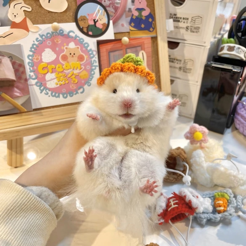 Nón cho hamster ,sóc ,…