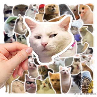 Set 50 hình dán meme sticker mèo cute vui nhộn hài hước chống thấm nước - ảnh sản phẩm 7