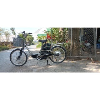 Xe đạp điện