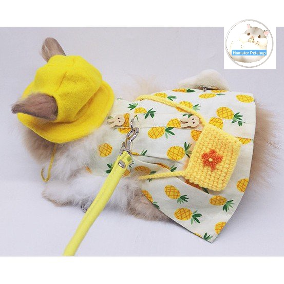 Bộ áo và dây dắt cho Thỏ
