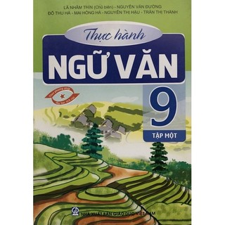 Sách - Thực hành Ngữ Văn 9 Tập 1