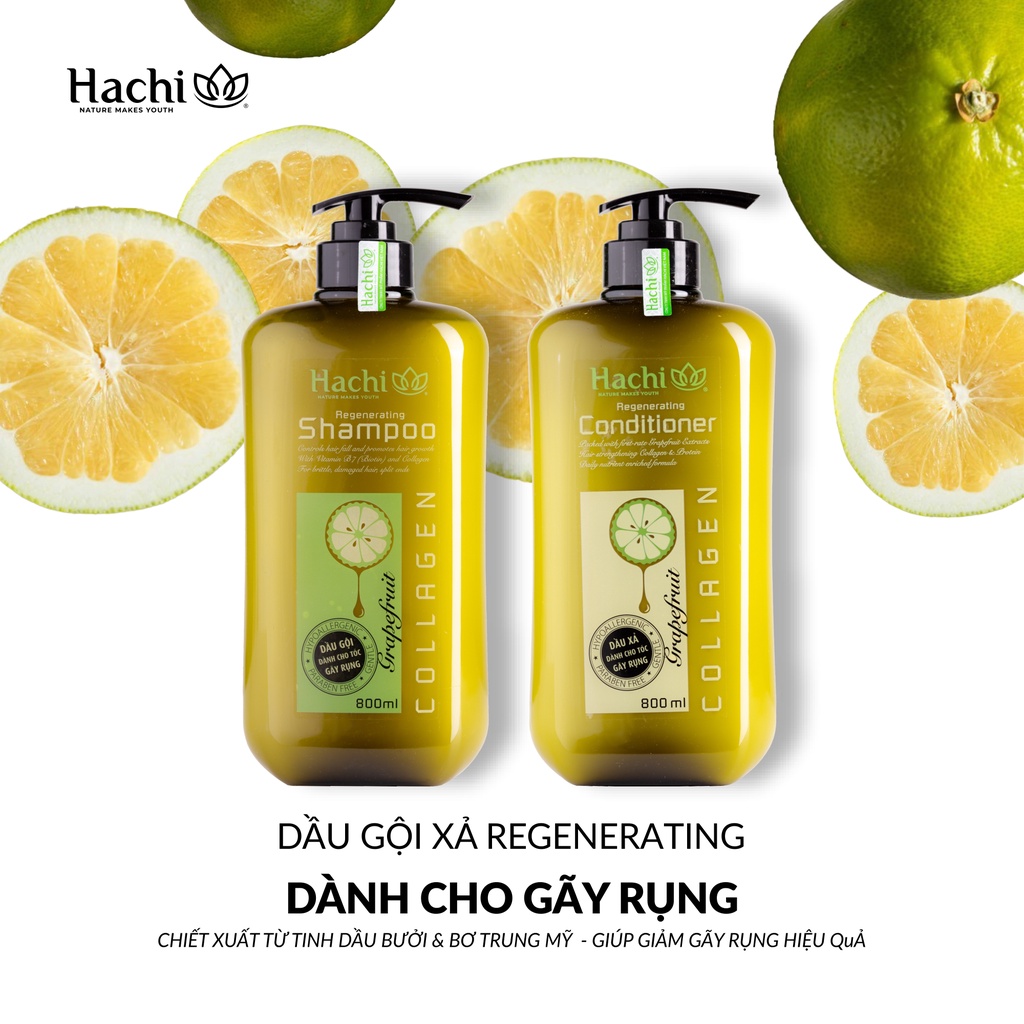 DẦU GỘI HACHI BƯỞI BƠ DÀNH CHO TÓC RỤNG