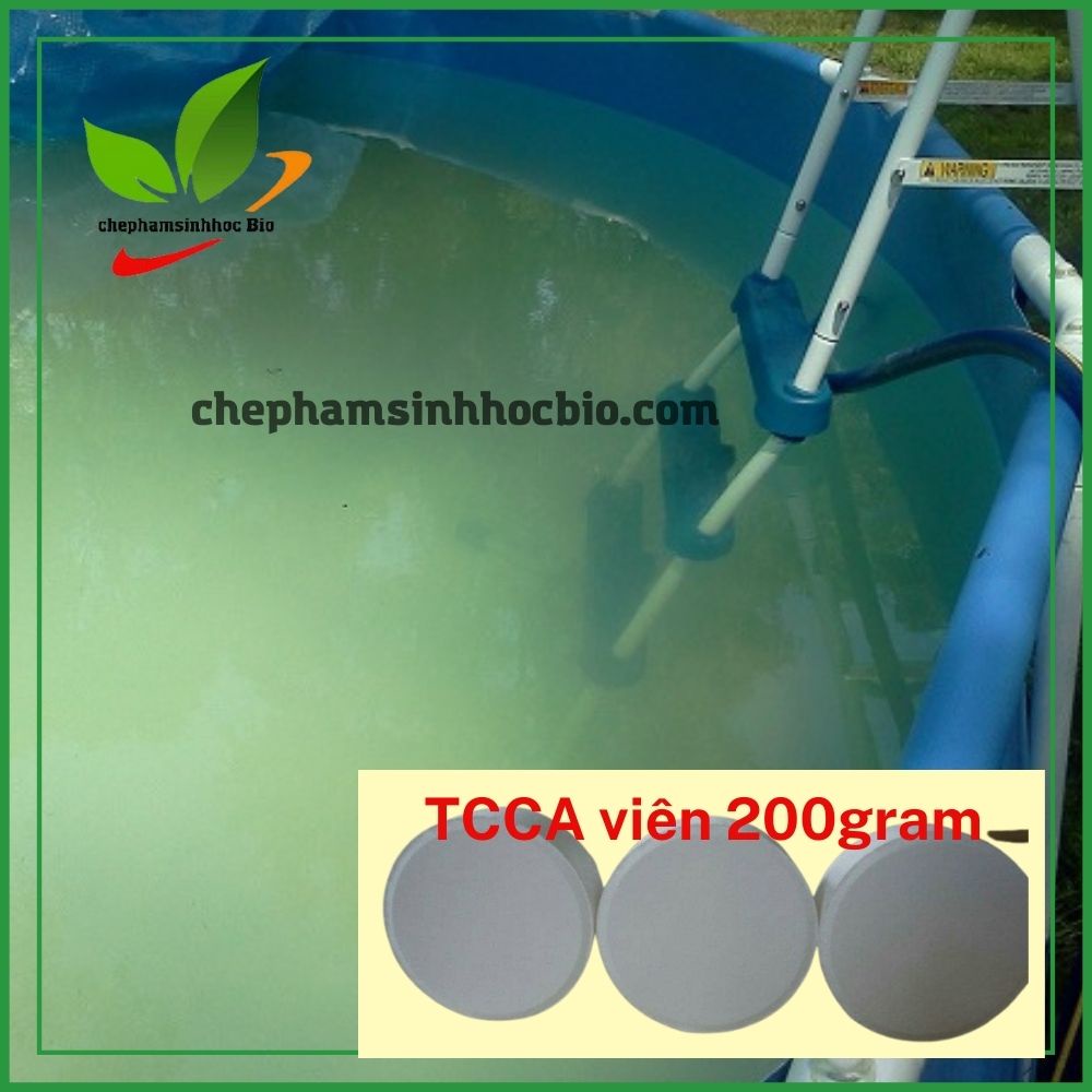 5Kg Viên Clo 200gr TCCA 90% làm sạch nước bể bơi, nuôi trồng thủy sản