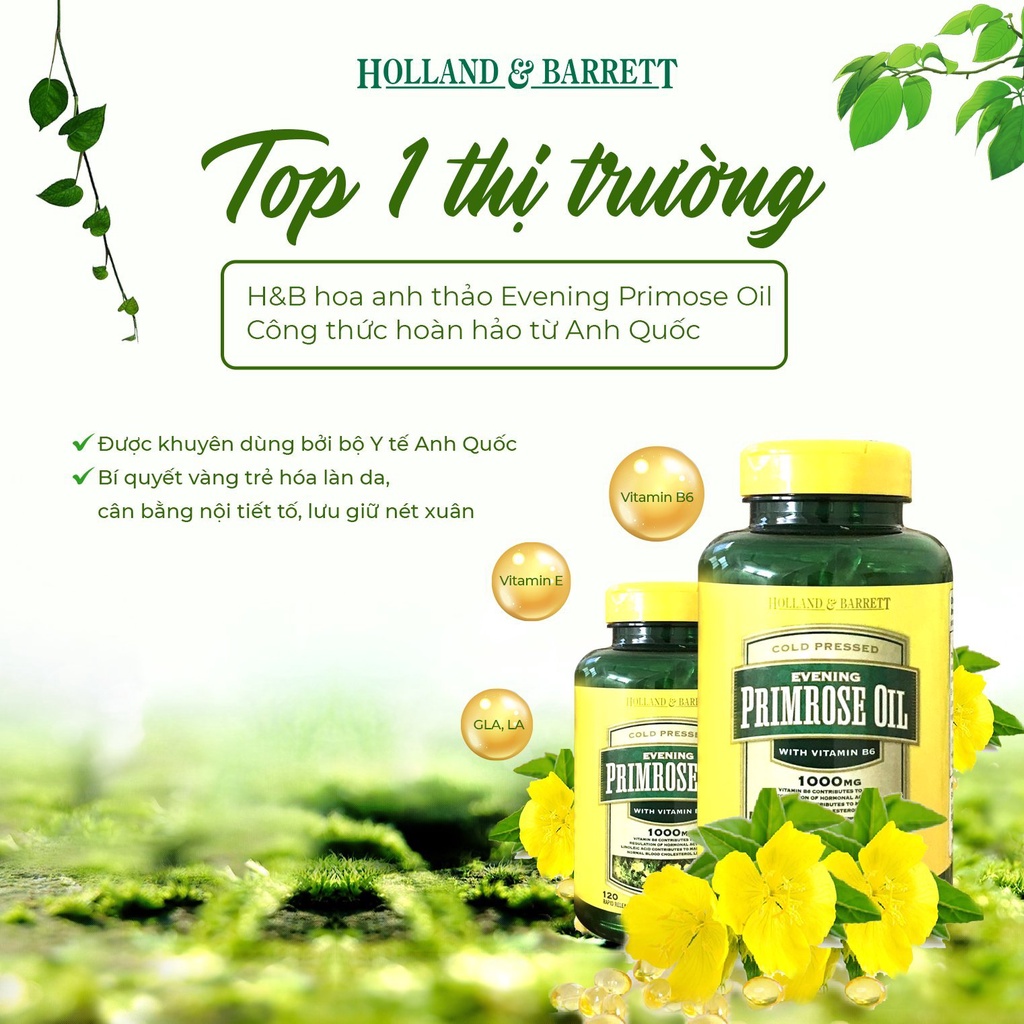 Tinh Dầu Hoa Anh Thảo Evening Primrose Oil Holland & Barrett 120 viên và Anh Thảo Pháp