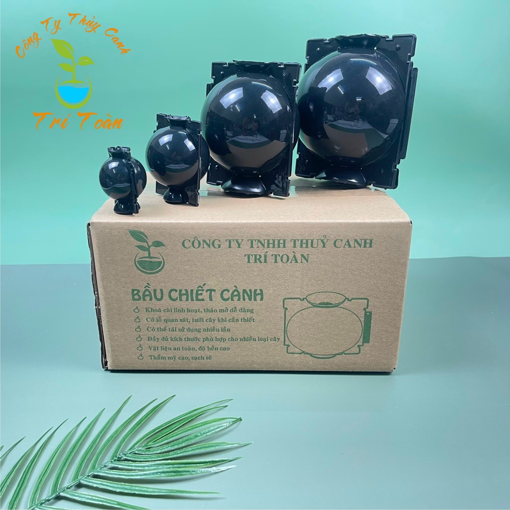 Bầu nhựa chiết cành, ươm cây thông minh đủ kích thước 4cm, 6cm, 10cm, 12cm