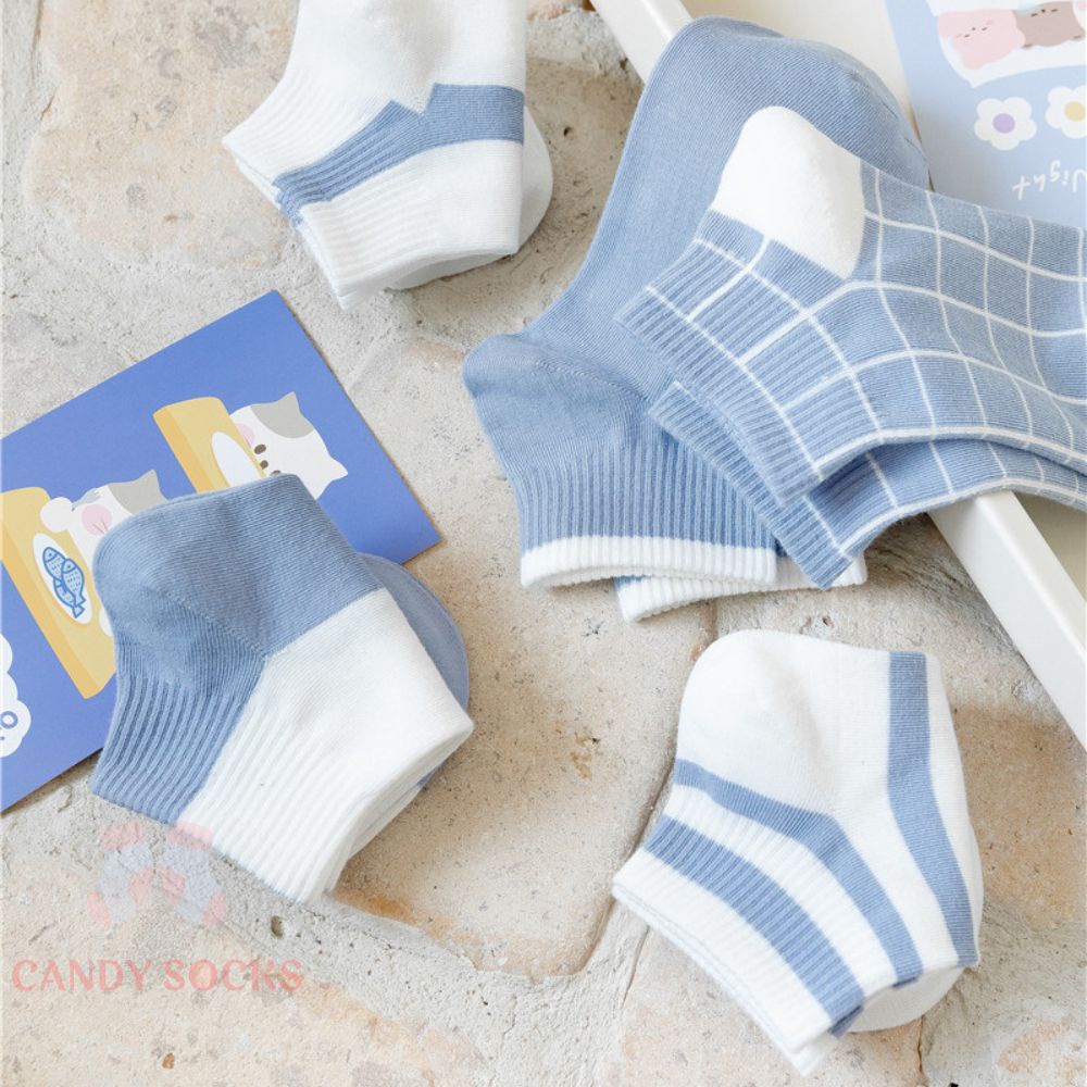 Tất nữ vớ nữ cổ thấp, Set 5 đôi tất nữ phong cách Hàn Quốc, co dãn 4 chiều, chất liệu cotton Hàn cao cấp TN-178
