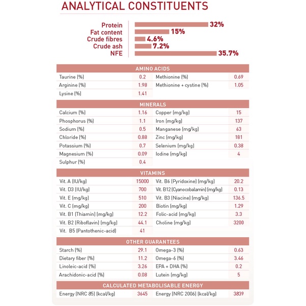 Hạt Royal Canin Fit 32 thức ăn hạt cho mèo trưởng thành vận động thường xuyên
