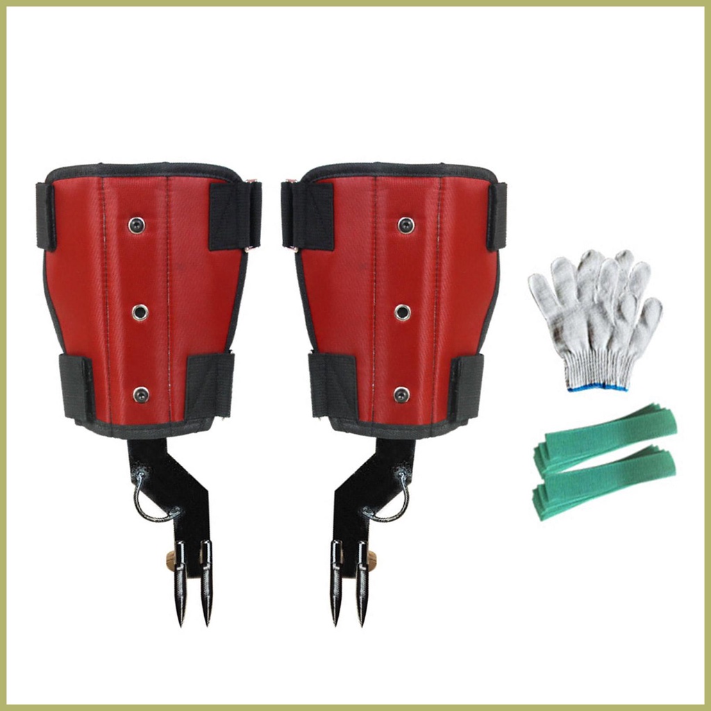 Cây leo gai bộ thép không gỉ leo cây gai đa năng cây-climbing giày ngoài trời bền ksidhyuvn