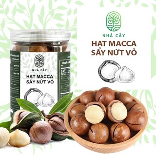 Hạt macca nứt vỏ daklak kèm tách vỏ