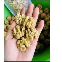 HẠT ÓC CHÓ HỘP 350G