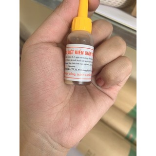 Loại Bỏ Kiến Gián - Diệt kiến Gián.