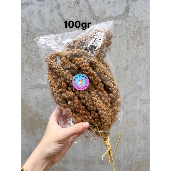 Kê chùm cho hamster