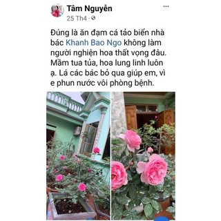 ĐẠM CÁ TẢO BIỂN NHẬT BẢN