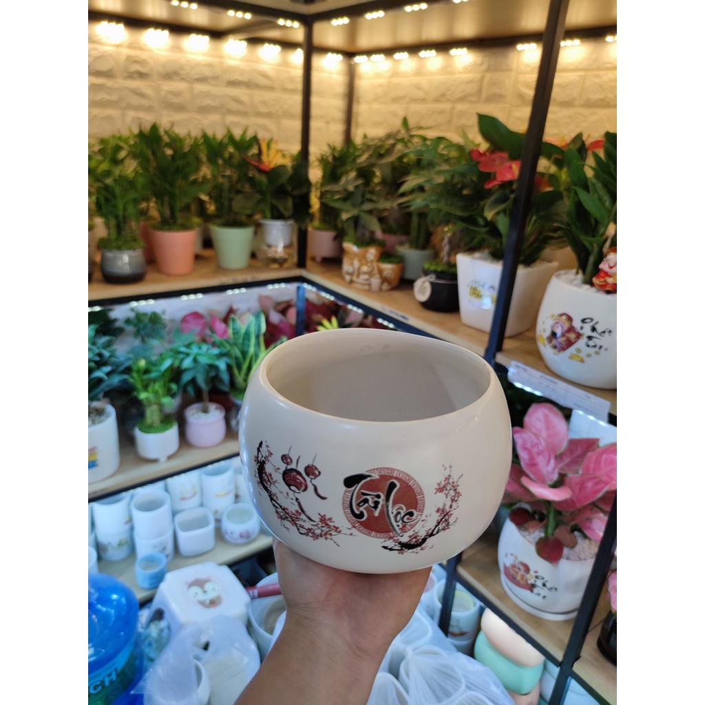Chậu sứ tròn ( hạt rẻ) dán decan tráng men mát lạnh trồng cây để bàn