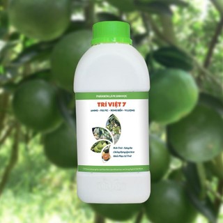 Phân bón lá trí việt 7 – amino