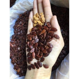 Hạt dưa loại 1 100% không phẩm màu, 200gr