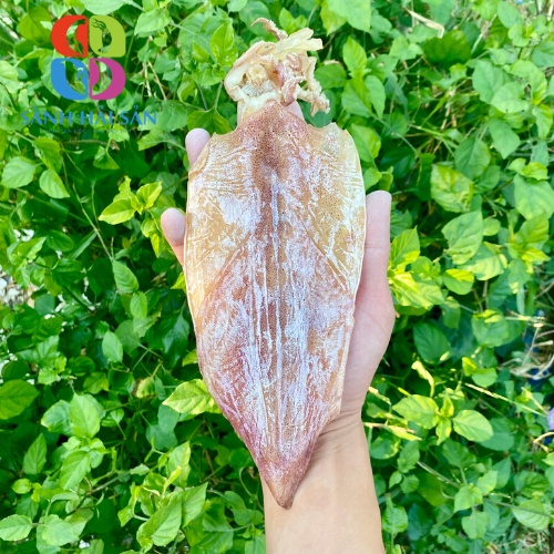 Mực khô Cô Tô - Mực Câu size 15 con/1kg, Mực câu phơi khô thủ công hàng chuẩn hải sản Vân Đồn Cô Tô - SanhHaiSan