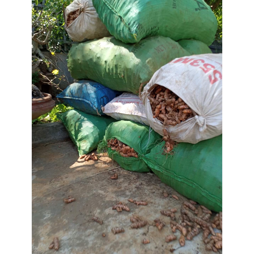 100g tinh bột nghệ nguyên chất Dakfoodfamily