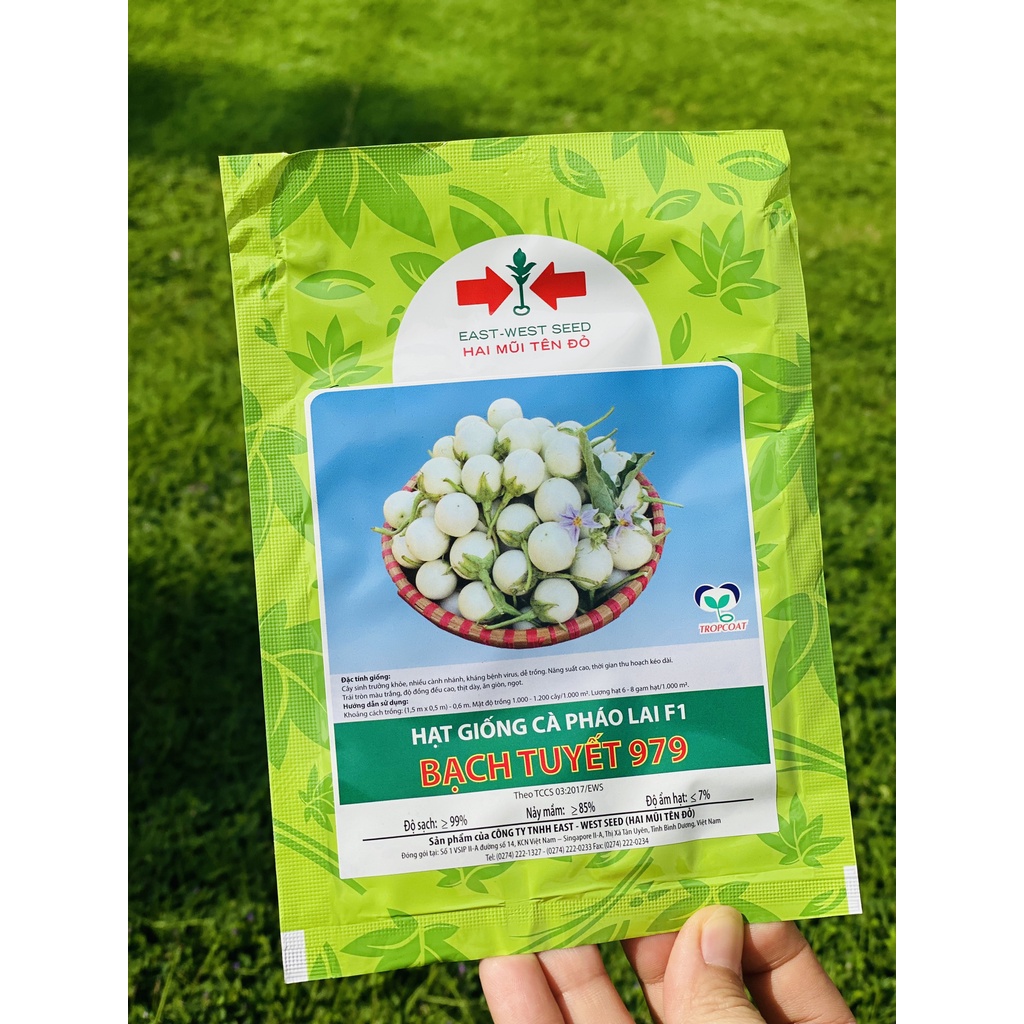 GÓI 1g (KHOẢNG 240 HẠT) HẠT GIỐNG HẠT CÀ PHÁO LAI F1 BẠCH TUYẾT 979 CỦA EAST-WEST SEED (HAI MŨI TÊN ĐỎ)