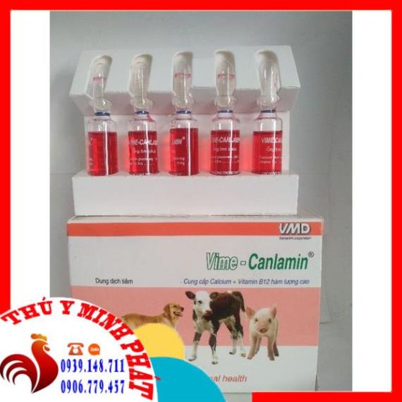 VITAMIN B12 ống 5ml