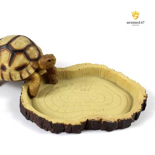 Ur.t đĩa resin đựng thức ăn nước uống cho rùa / bò sát