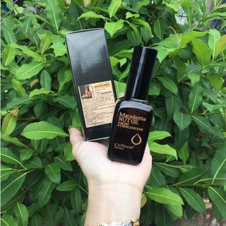 Tinh dầu dưỡng tóc Macadamia Nut Oil