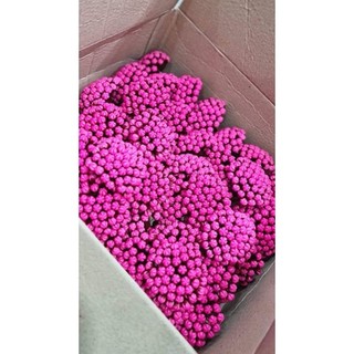 50 nụ đào phai màu hồng đài nâu