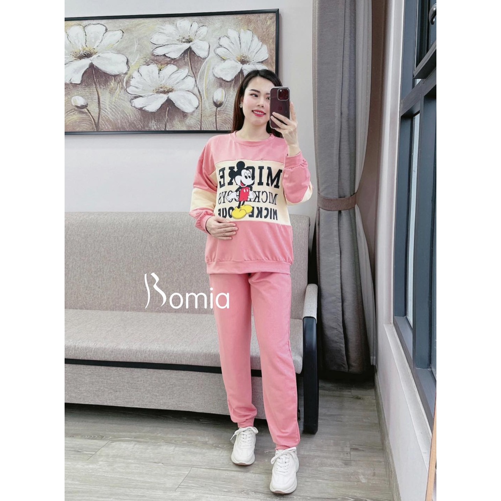 Bộ bầu nỉ hình Mickey