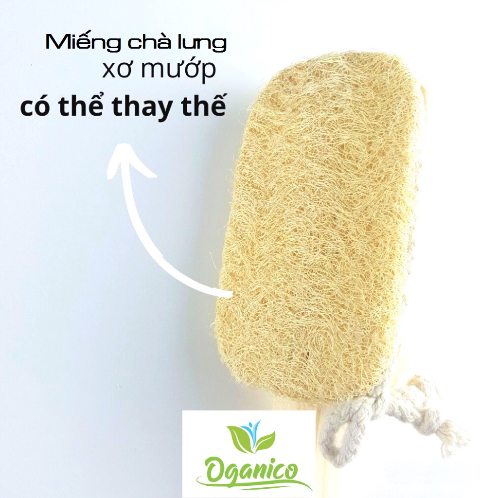 Mướp Miếng Xơ Mướp Thay Thế Trong Cây Chà Lưng FREESHIP  cây chà lưng