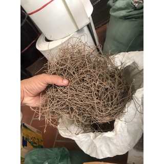 Rễ bạch hạc khô, loại bỏ mốc, lác gà chọi 100g